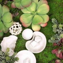 Green Wall, Succulent W/ Wall Play™ -France and Son Store hy9463 detail2 2 REV5 635x635 824eca61 6276 4ac1 8538 e48677450961