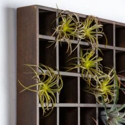 Green Wall, Pixelated Air Plants -France and Son Store hy9491 64 detail2 635x635 fa82662b 8f34 4192 b3c6 33b9b8424a65