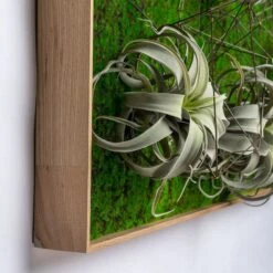 Green Wall, Wire Crystals & Xerographica -France and Son Store hy9504 50n detail2 635x635 45f171d9 fae2 45b0 9c0b f08253bb3fa5