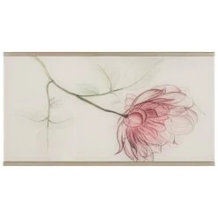 France and Son Store -France and Son Store iqrlnad9me7tvkqsyyyg d151bafa 86da 4908 9ff9 f57c2f52f0e8