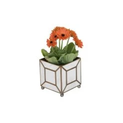 Ant Mirror Classic Planter