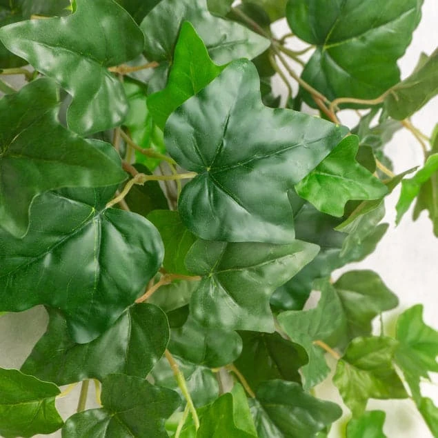 Ivy In Puddle Planter Grey 4 Ivy In Puddle Planter Grey - Image 2