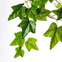 Ivy In Puddle Planter Grey 7 Ivy In Puddle Planter Grey -France and Son Store pb9312 66 alt3 635x635 be2b8e70 f49b 463a a37c c27d93de9947