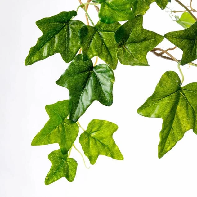 Ivy In Puddle Planter Grey 5 Ivy In Puddle Planter Grey - Image 3