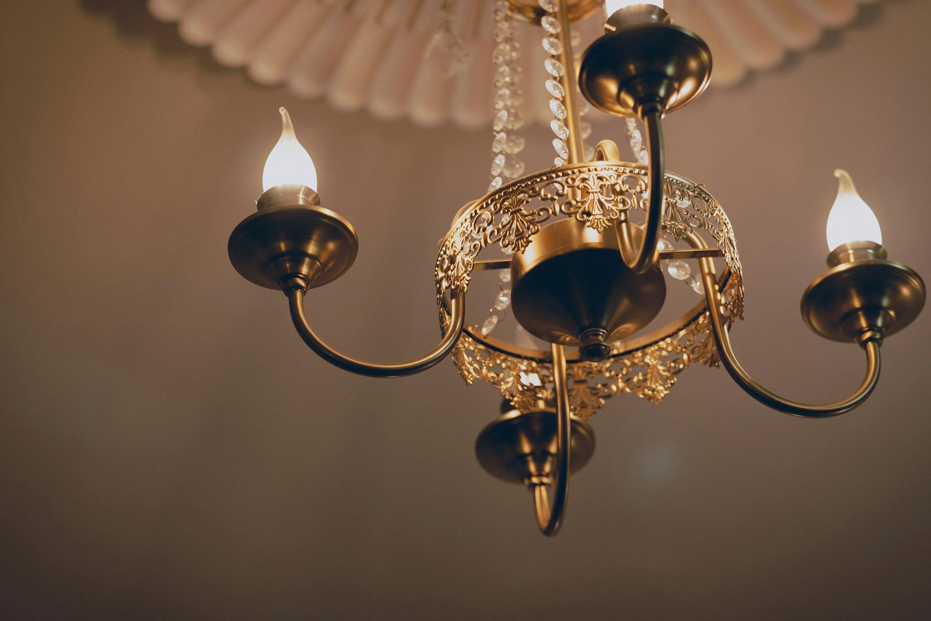 France and Son Store -France and Son Store pexels matthew jesus 468170389 35096805