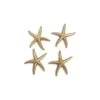 Glitter Starfish -France and Son Store ph67527