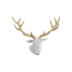 Hearth Buck Head