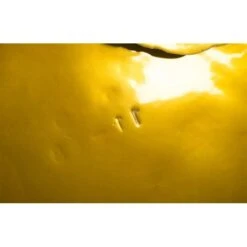 Copse Wall Discs -France and Son Store ph67804 2