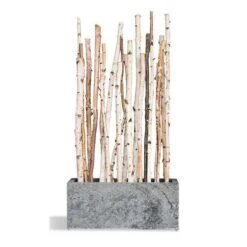 Birch Poles In Custom Rectangle Planter 13 Birch Poles In Custom Rectangle Planter -France and Son Store z8216 silo 635x635 22f0a15b 8aab 402b 926c c9414422ce11
