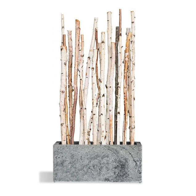 Birch Poles In Custom Rectangle Planter 7 Birch Poles In Custom Rectangle Planter - Image 5